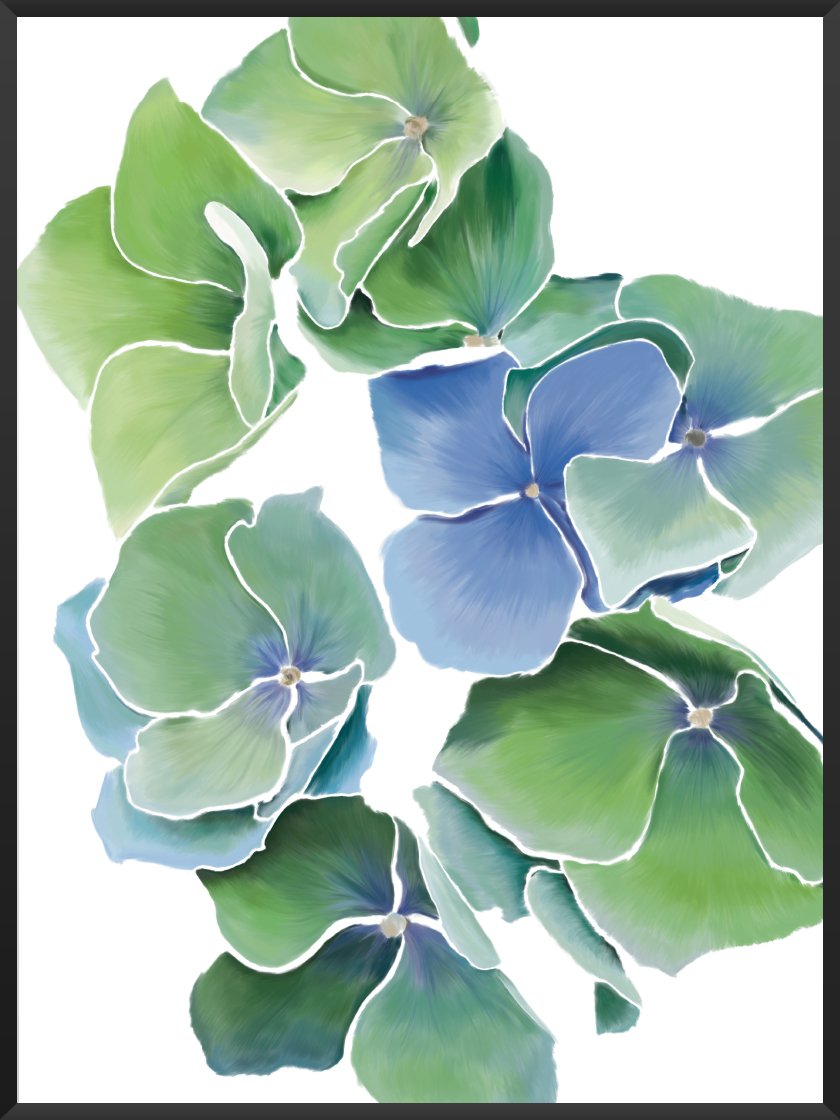 Blue Hydrangea - 파랑 수국