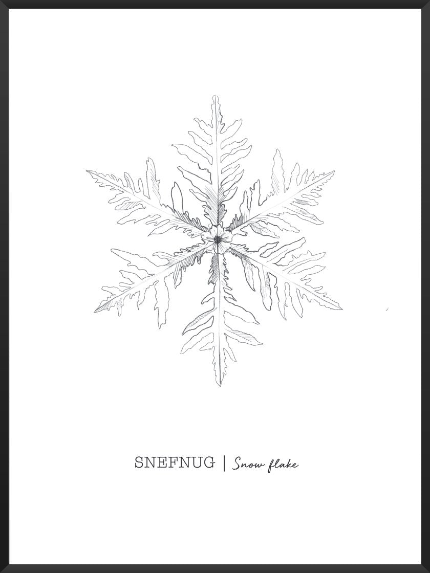 Snowflakes - 눈꽃