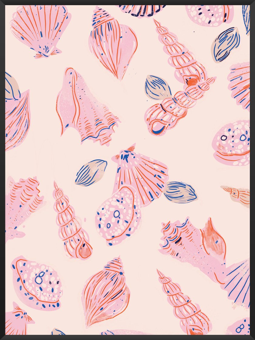 Summer Shells - 여름 바다 껍데기