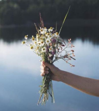 스칸디나비아식 여름나기-국경일, 축제 편