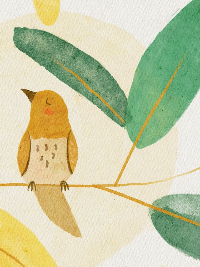 녹색 지구를 위해 당신이 알아야 할 모든 것