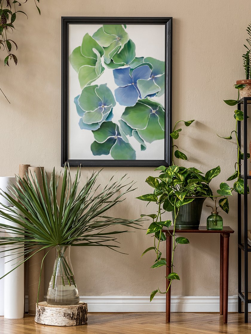 Blue Hydrangea - 파랑 수국