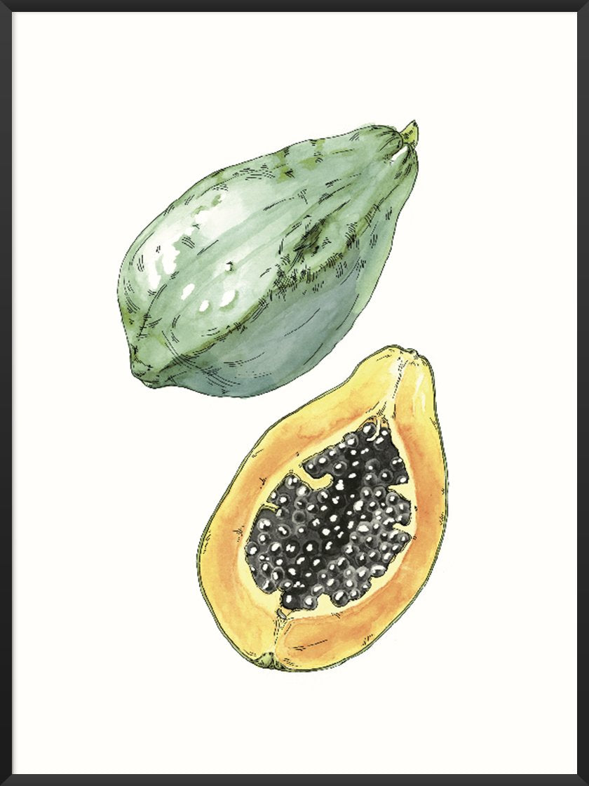 project-nord-hand-painted-vintage-botanical-papaya-poster-product-picture