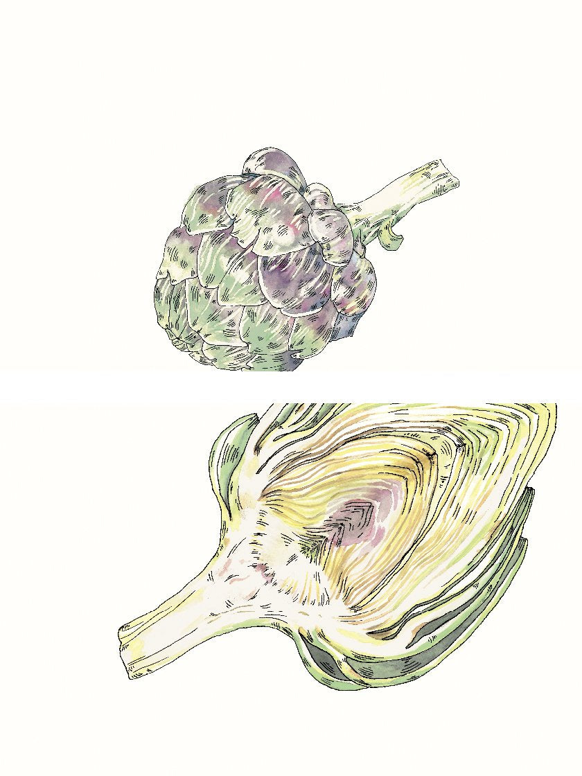 vintage-hand-painted-artichoke-poster-closeup