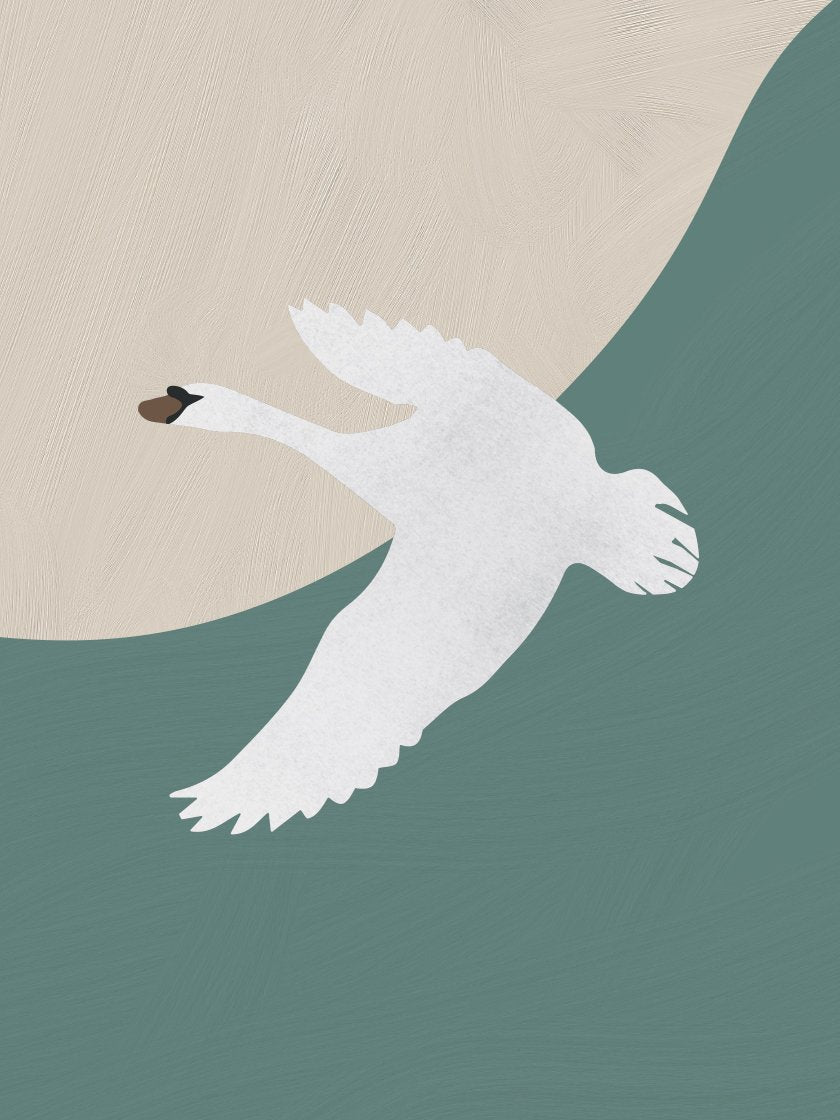 The Ugly Duckling by Andersen - 안데르센 미운 오리 새끼 포스터