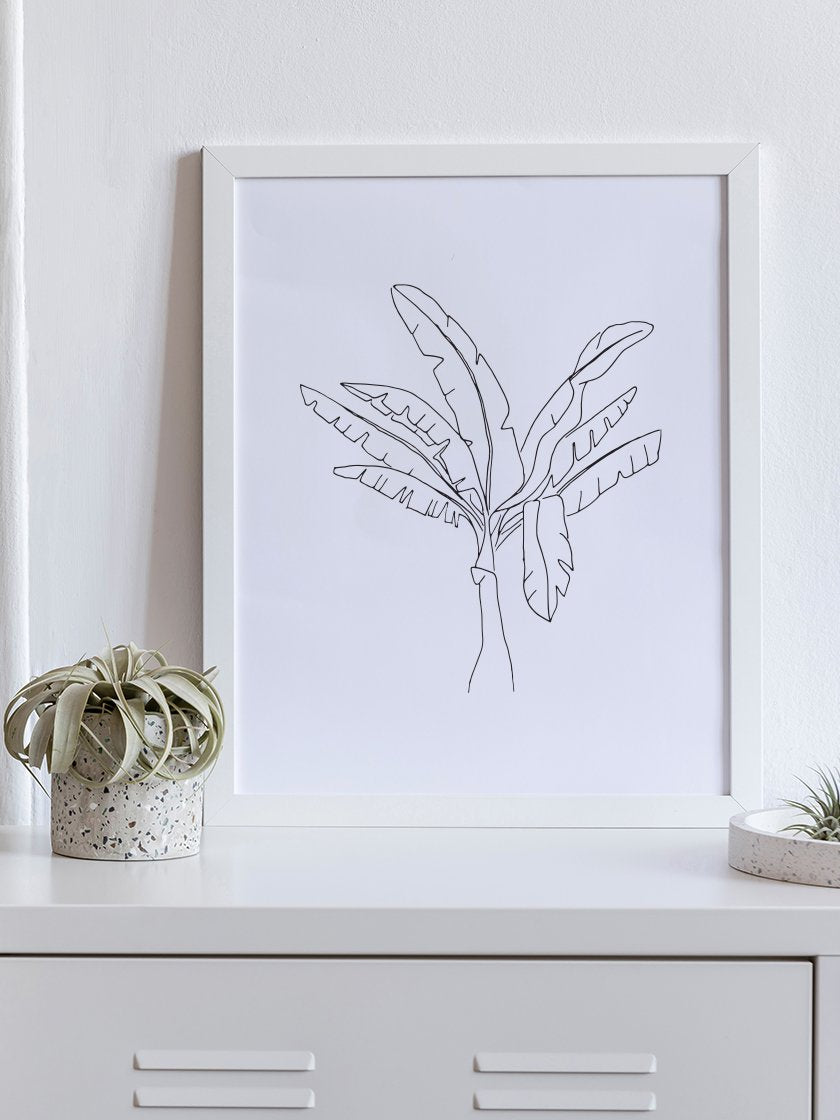 Banana Tree - 바나나 트리