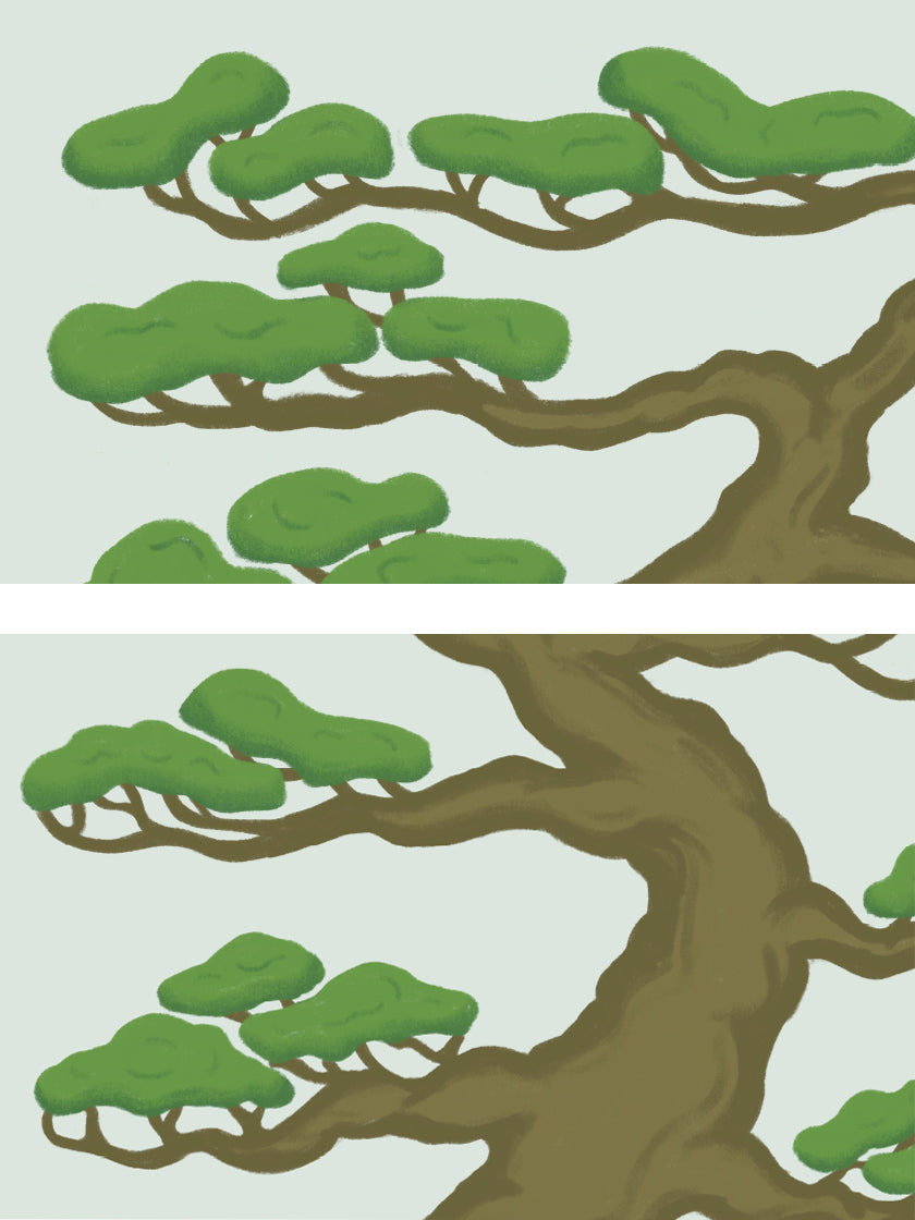 Bonsai Tree - 솔 분재