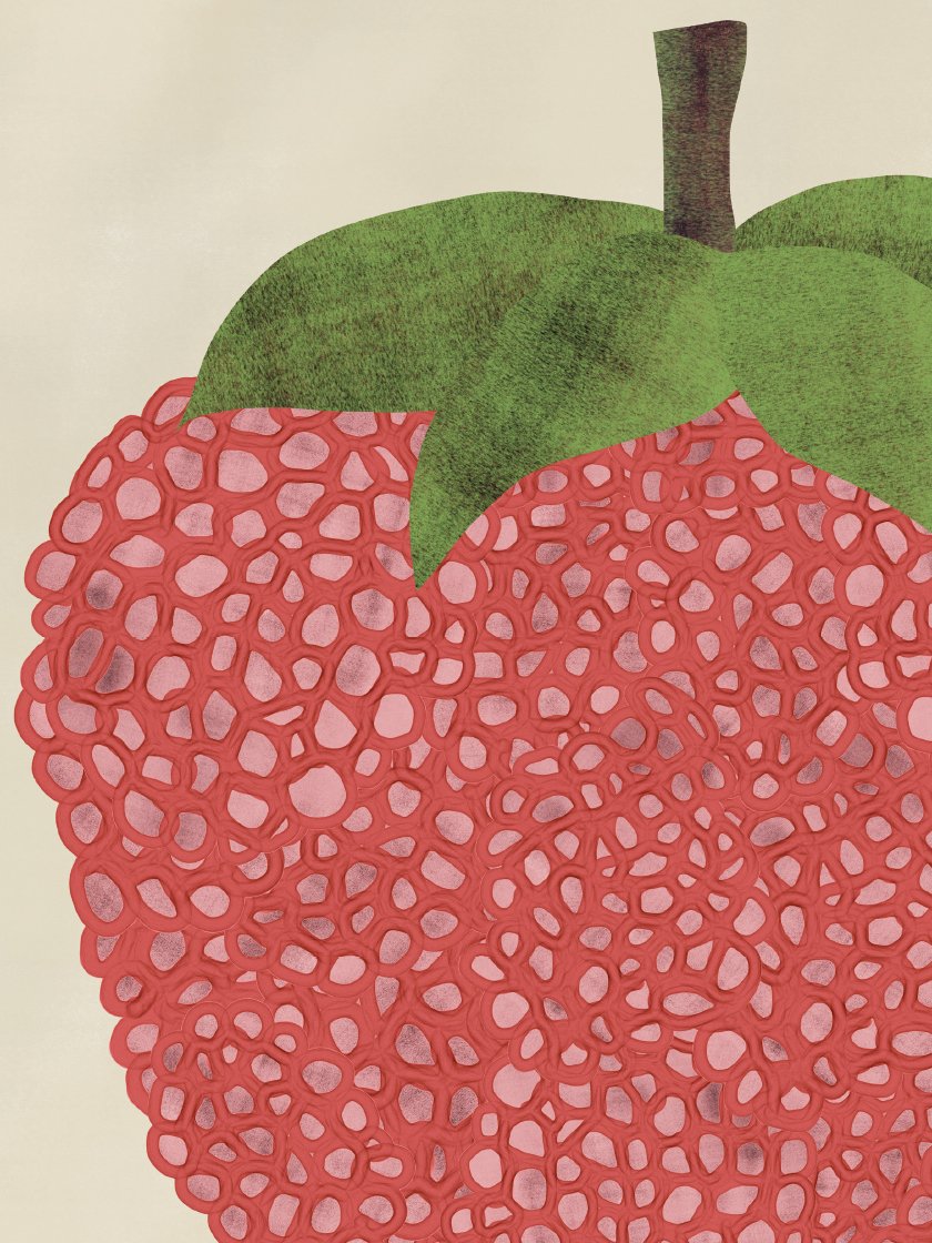 Bubble Strawberry - 거품 딸기