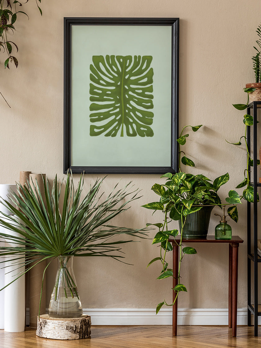 Monster Leaf - 몬스테라 잎