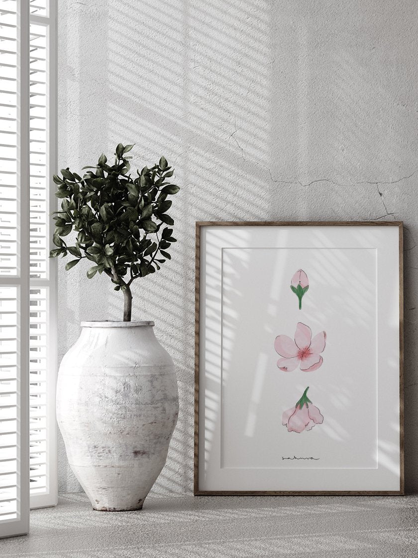 Life of a Sakura - 벚꽃의 시작과 끝