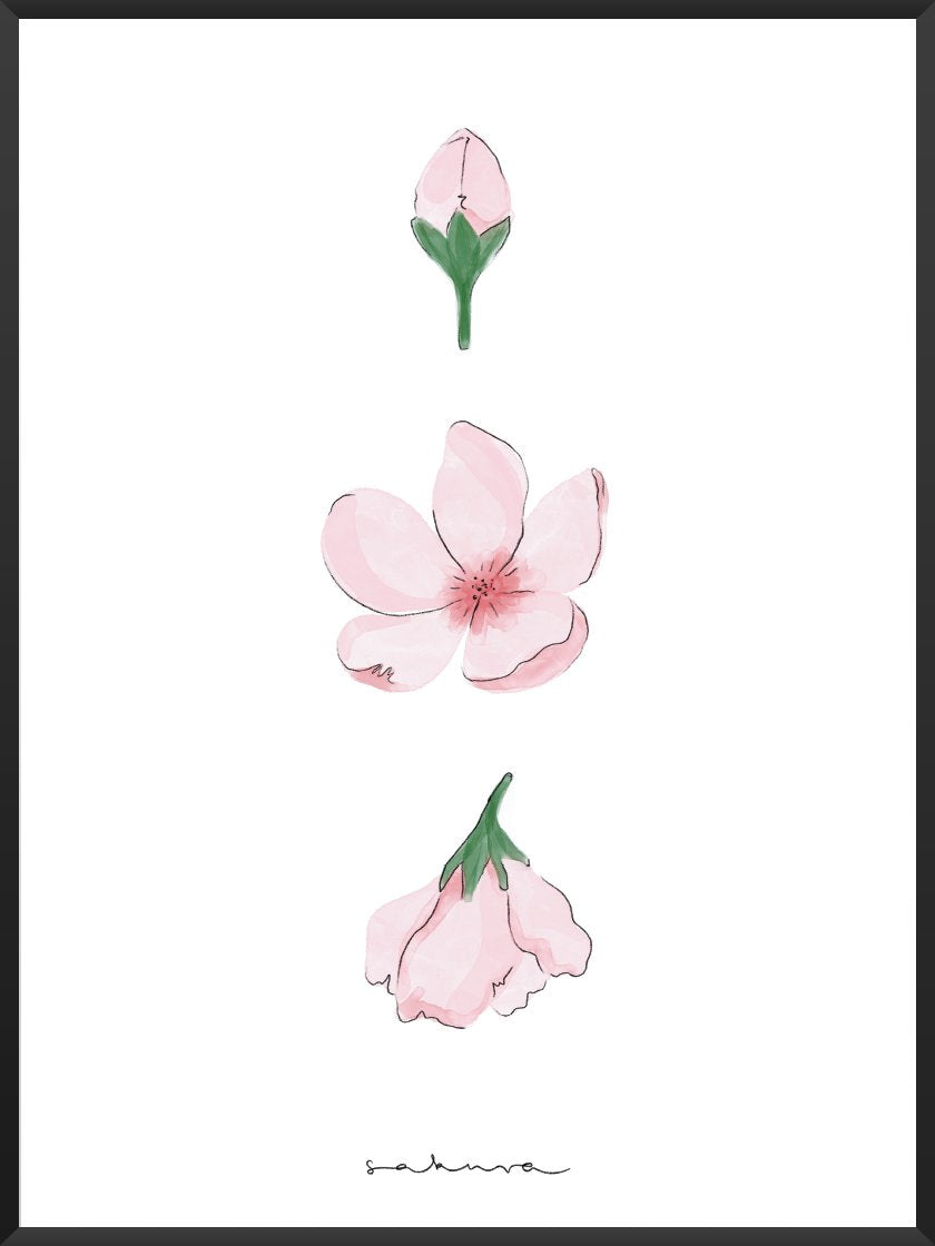 Life of a Sakura - 벚꽃의 시작과 끝