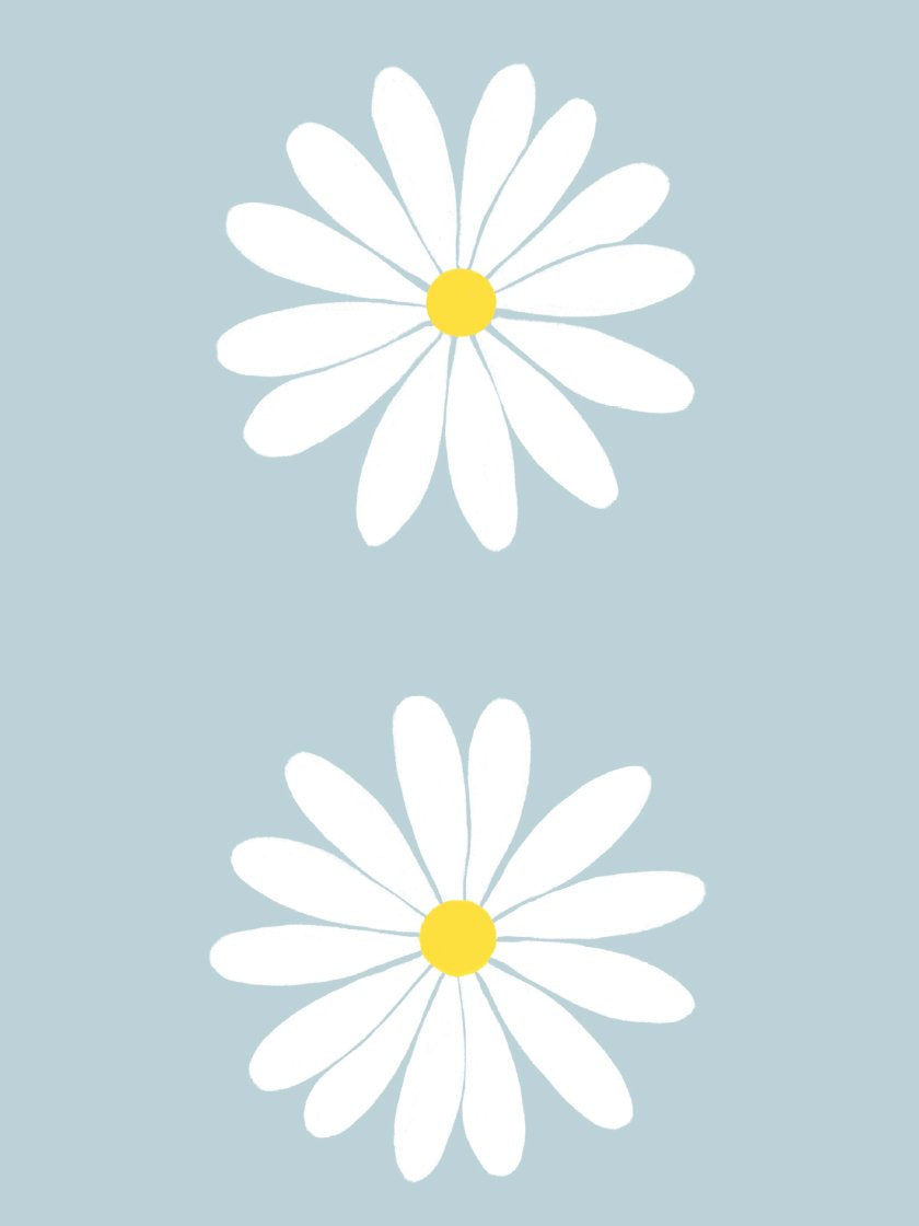 Lucky Bellis - 벨리스