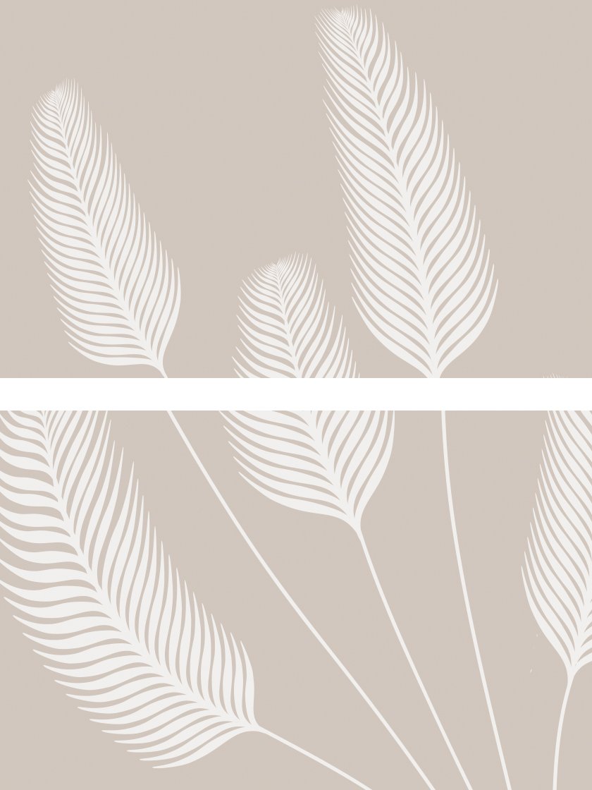 Pampas Grass - 팜파스 그래스