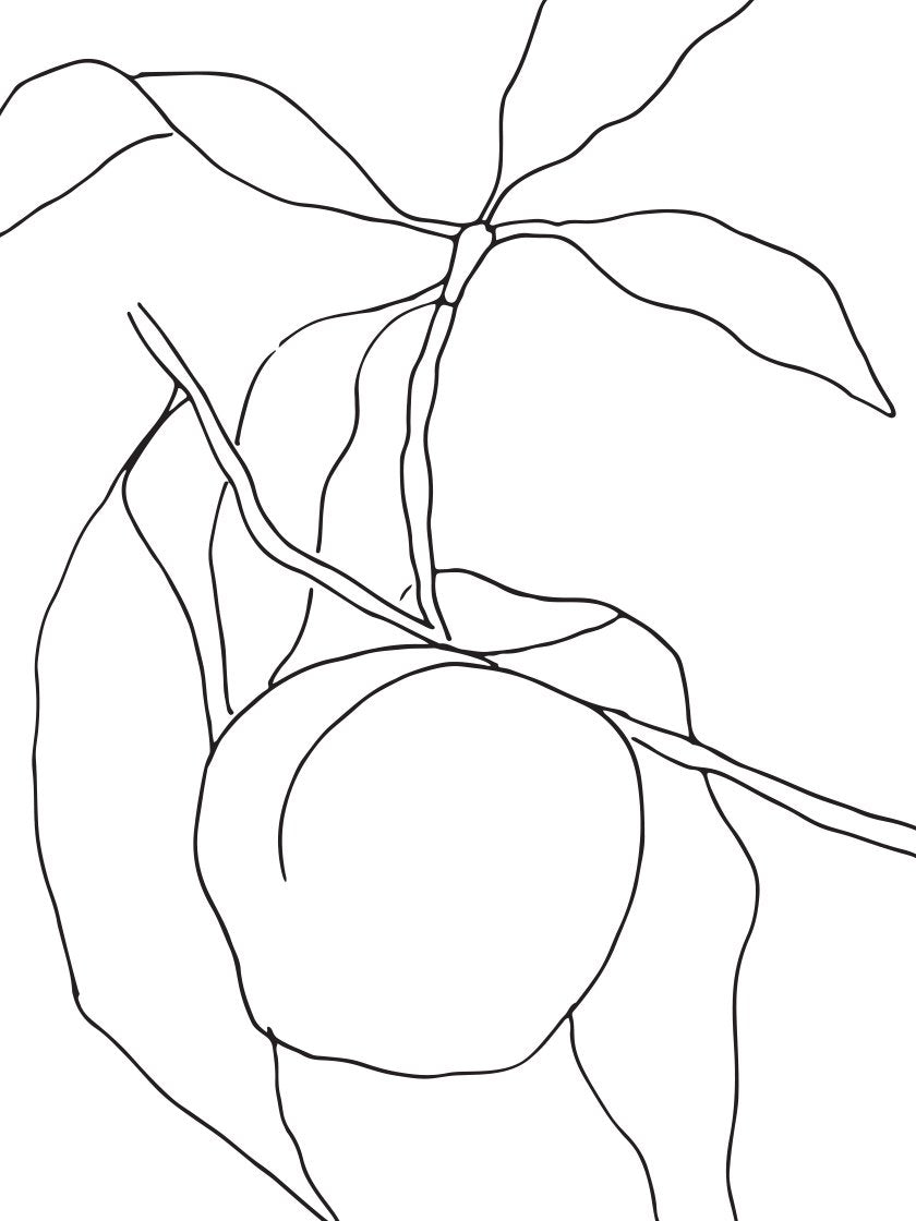 Peach - 복숭아 선 예술 포스터