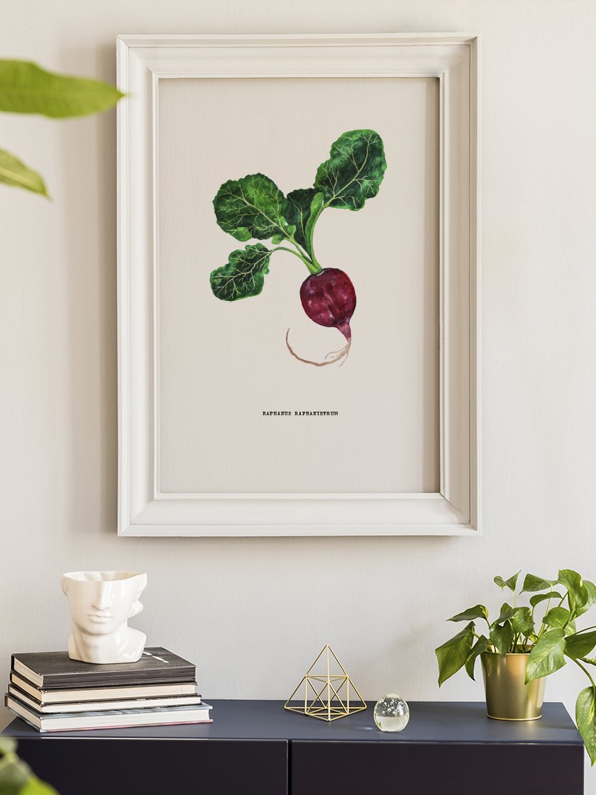 project-nord-vintage-botanical-radish-poster-in-interior-hallway