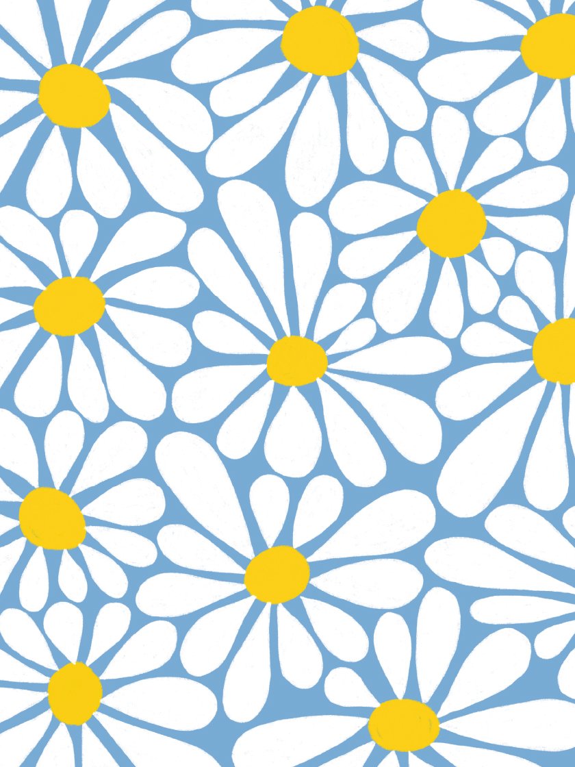 Spring Daisies - 데이지