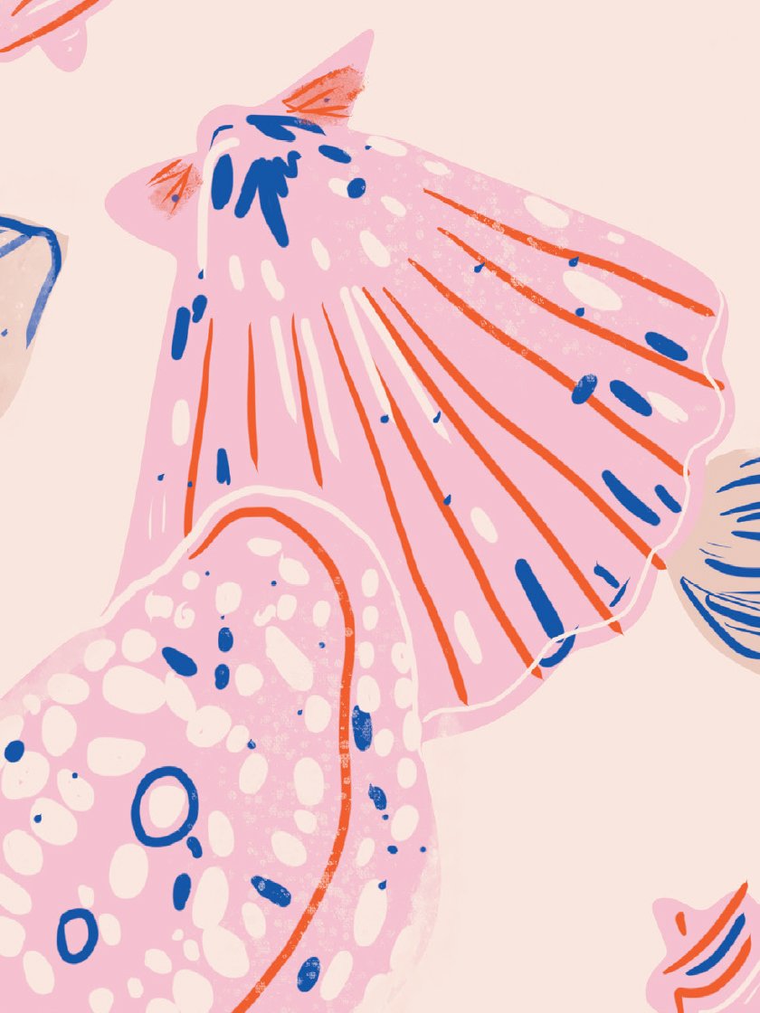 Summer Shells - 여름 바다 껍데기