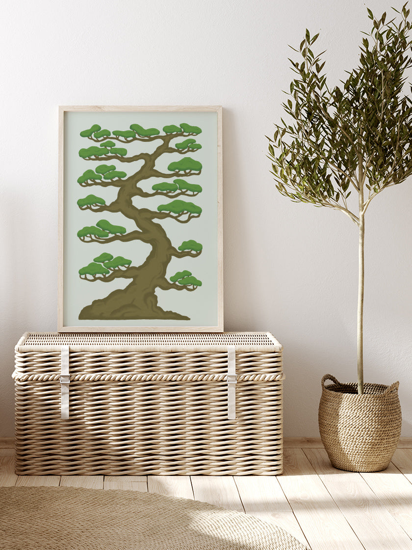 Bonsai Tree - 솔 분재